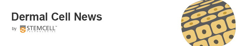 Dermal Cell News by STEMCELL Technologies