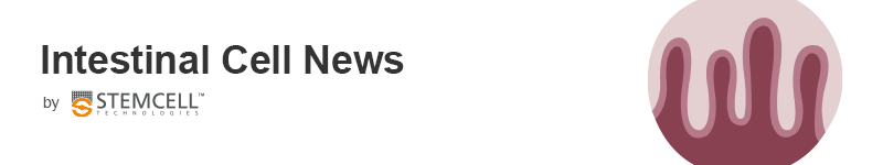 Intestinal Cell News by STEMCELL Technologies