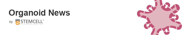 Organoid News by STEMCELL Technologies