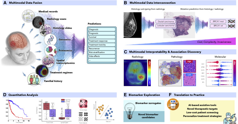 Artificial Intelligence For Multimodal Data Integration In Oncology ...