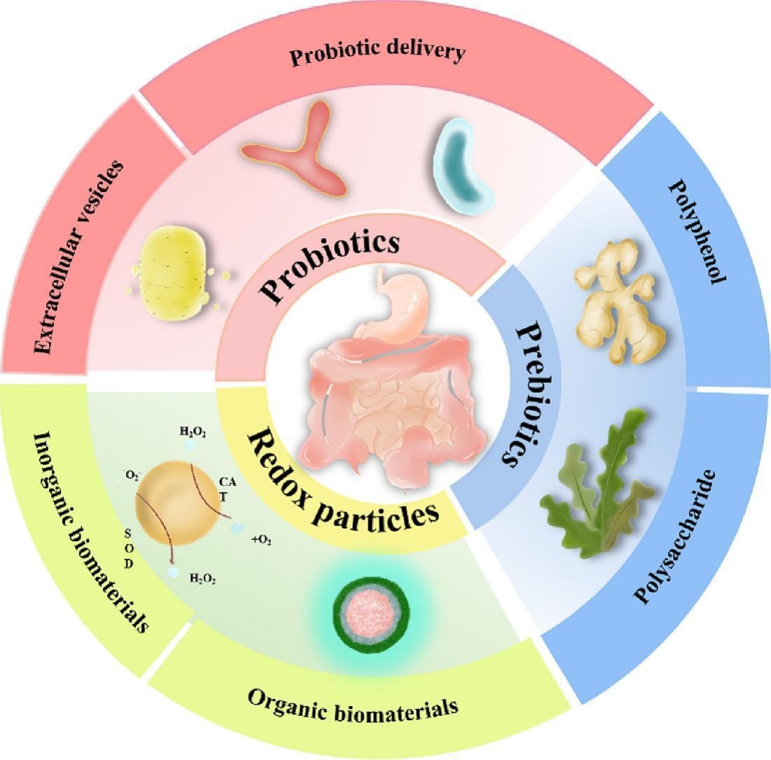 Recent Progress On Engineered Micro Nanomaterials Mediated Modulation 